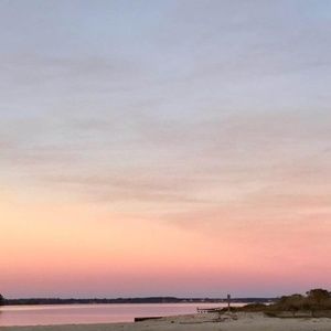 Meet your Posher, Janet